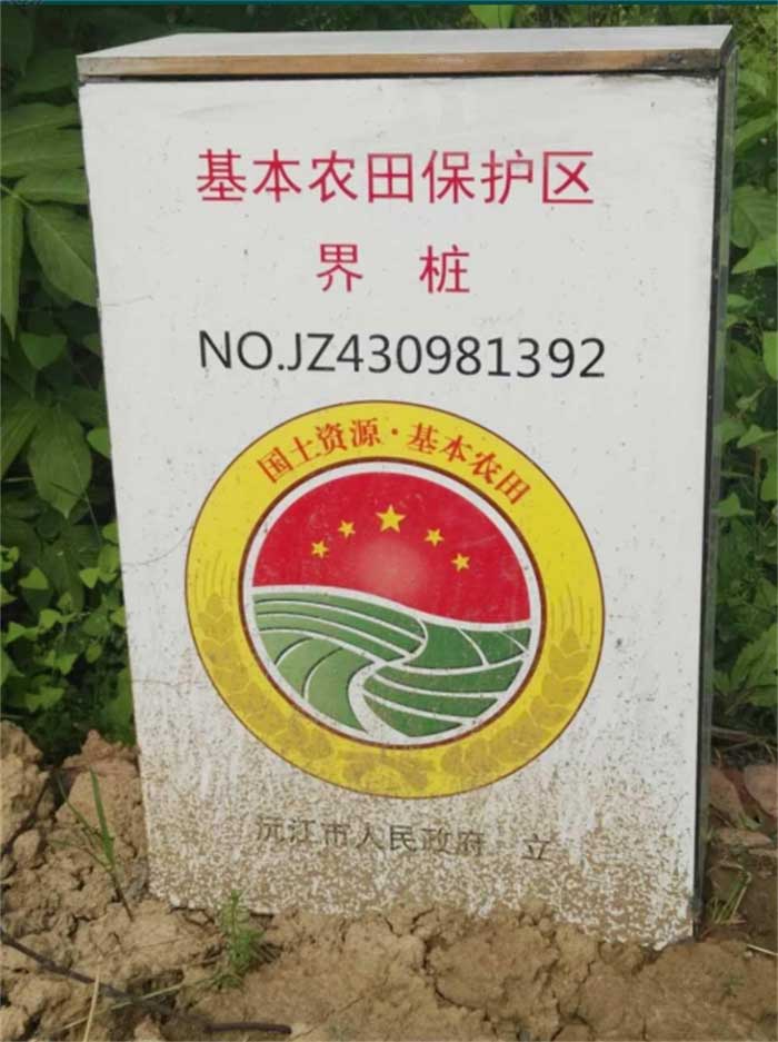 ũﱣ׮ ũﱣʾ